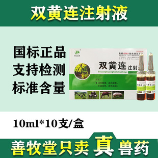 �F�� �p�S�Bע��Һ �iţ���ð ���� ���ⶾ� ����șƷ �p�S�B