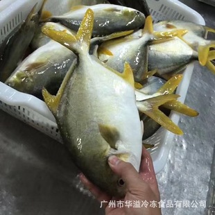 �΃����K�~ ���б�ˮ20��/�� �׽��K�~ ���}�~ 100-500�˸�Ҏ��