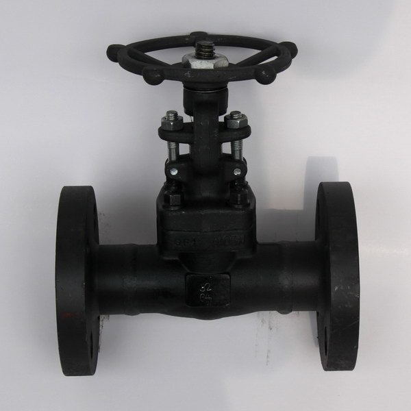 供应锻钢高压截止阀 法兰 螺纹 焊接 150LB-2500LB 800LB锻造阀门