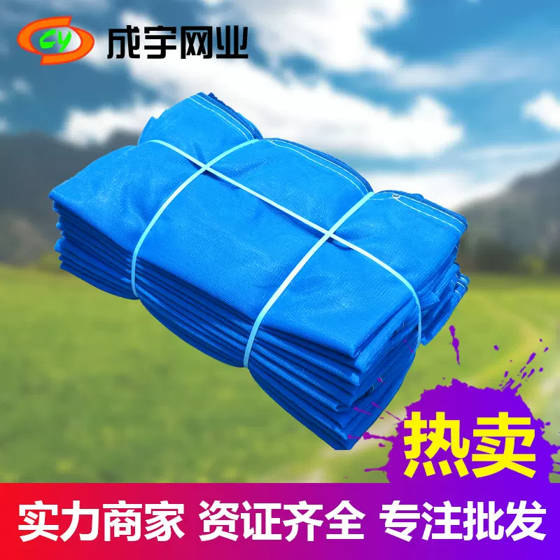 国标安全网上海蓝色工地施工防护网建筑安全网安全防护盖土网