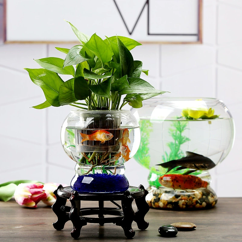 Шар стеклянный аквариум офис Творческий гидропонный круглый маленький аквариум для черепахи