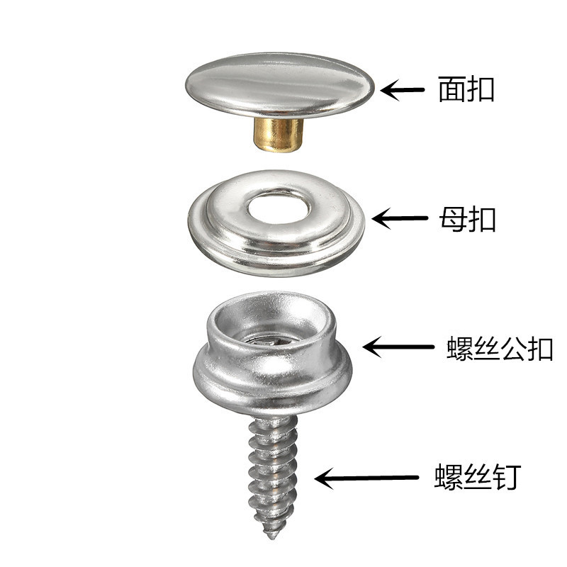 Tornillo de acero inoxidable gran hebilla blanca tienda lona tornillo hebilla fija cobre suministros al aire libre accesorios hebilla de cuatro articulaciones