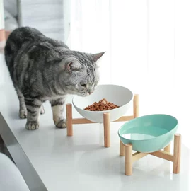 猫猫食具;狗狗食具;马克杯