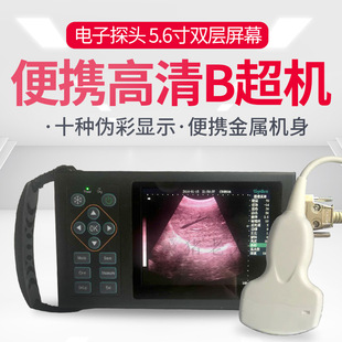 �羳�F��B���C��ţ�Üy�Ѓx�i��b���C���������y�z�Ѓx���Q���S