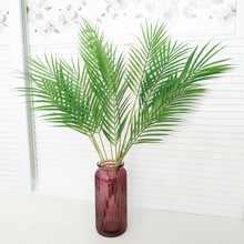 ����ֲ���ؙ��~ ���Ҭ���~�����ɢβ���~  �Gɫֲ���b��F���~