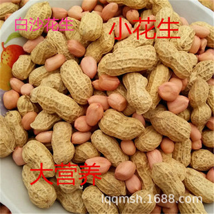 Shandong Self -платеть на сушеные арахисы, ракушки, сырой арахис, новые продукты, фермеры, сажание маленьких белых песчаных фруктов Семена масла