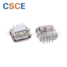 �~�Ͻ��⚤USB 2.0�B�����L��10mm 4���_USBĸ���
