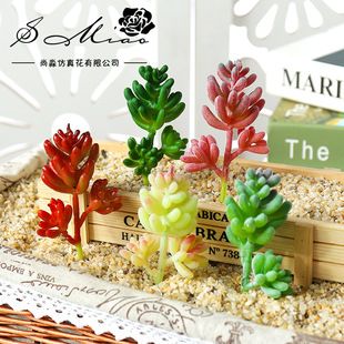 ����ֲ�ﻨ�^ʯ��������DIY��Ʒ���ϼٻ�ֲ��S��ֱ���[��һ����