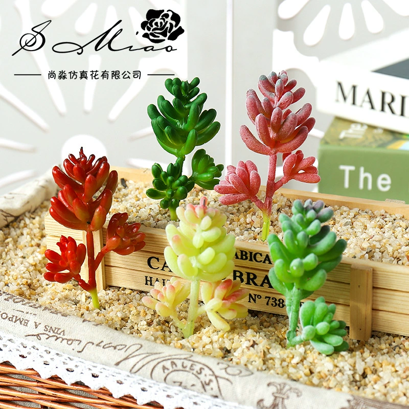Мясистое растение Цветочная головка Исикава цветок креативные DIY поставки пластиковые поддельные цветы производители растений прямые поставки украшений поколение