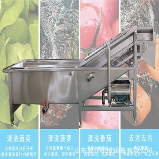 小型蔬菜清洗机    多种型号定制   辣椒黄瓜小型蔬菜清洗设备