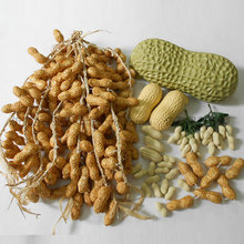 ���ϻ����������߲��r�Ҙ��͏d�b��ټt�����������ʳ��ģ