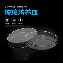 玻璃培养皿 60mm 75mm 90mm  100mm 120mm  生物实验 教学仪器