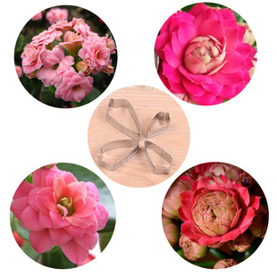 4pcs���P䓷���Ӣʽ�ǻ���ģ�L�ۻ�����ģ�� ���ǵ���ܛ��ճ����