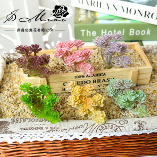 ���⻨�^С���˿�����ֲ��S��ֱ��DIY�����Ʒֲ��ٻ�