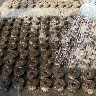 ���a����K ���s�� ̿�K��̿���I�B���|�K ���s�� Ǥ�� ���N��