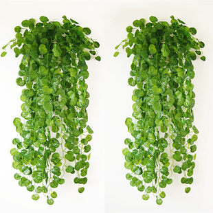 Wholesale Simulation Wall -mounted Flower Little Green Roman Simulation Green Leaf Plant Wall -mounted Rattage Room Interior Wall Decoration Fake Purple Orchids