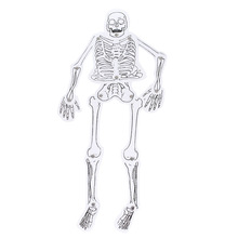 幼儿童益智玩具学生科技小制作 diy自制人体骨骼模型拼装厂家直销