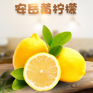 �����x���Ĵ������S���� ���l1/5���̲������S�♎�ʮ������rˮ��