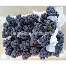 ˮ�����r���������ӱ��r���b�� �ɶ��Ƴߴ�ӡˢ �߲˰��b����ˮ