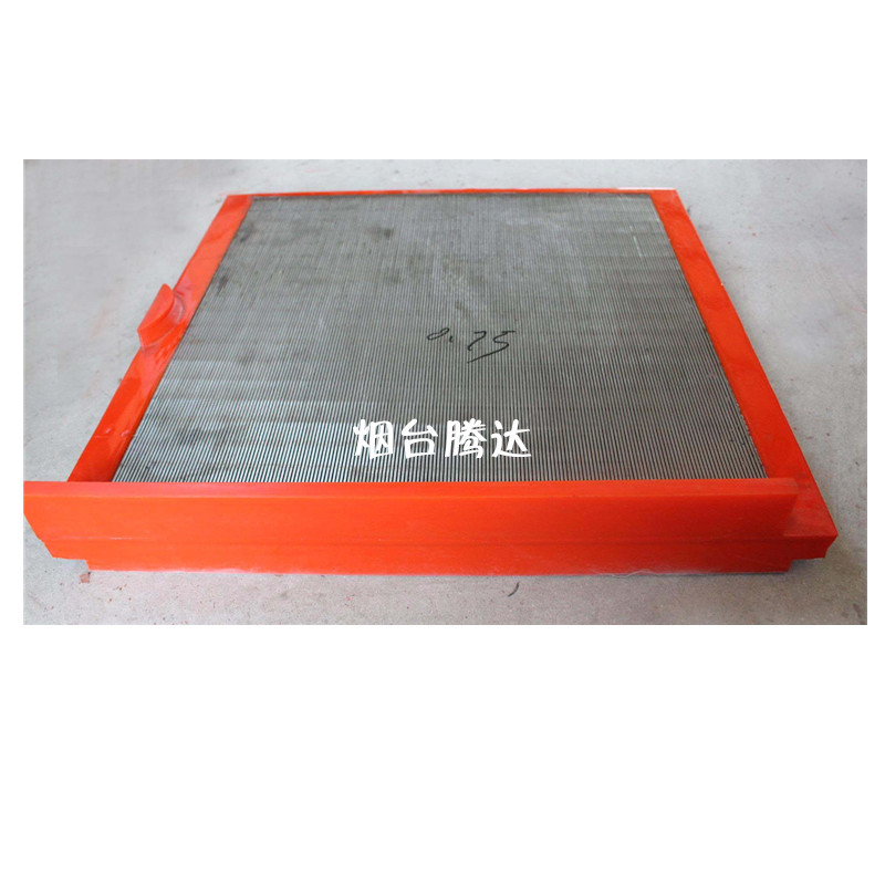 烟台腾达 厂家供应不锈钢冲孔筛板  聚氨酯包边筛板