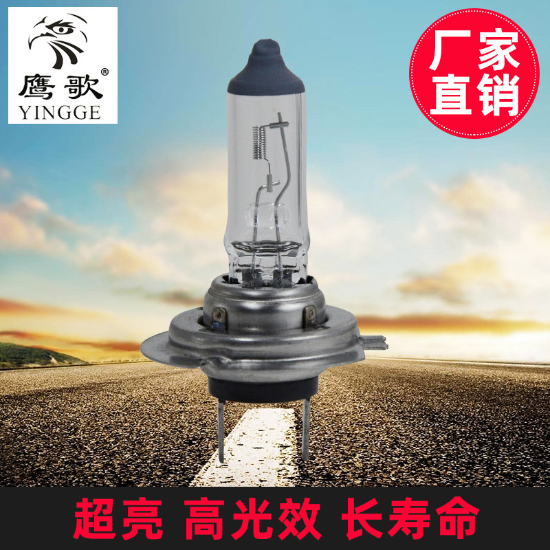 Halogen lamp