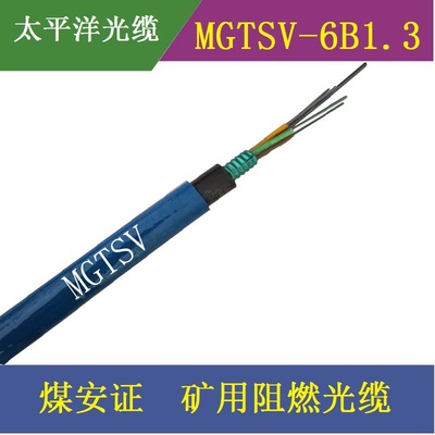 山东太平洋光缆 MGTSV-6B1.3  6芯单模 矿用阻燃光缆 煤安证 光缆|ms