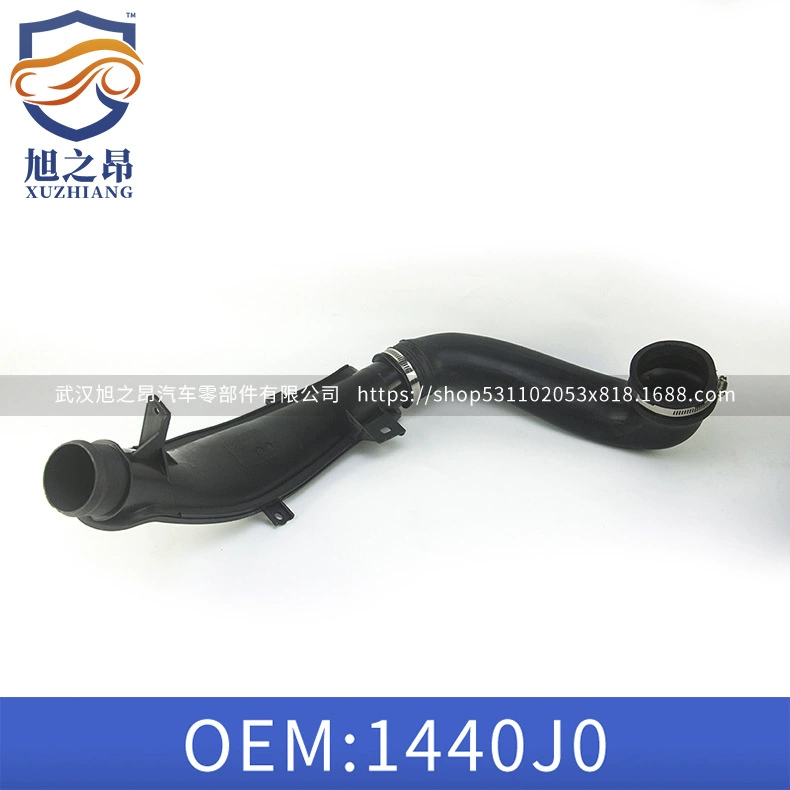 Подходящий фильтр входа Sky Filtering Inlet Penta OE 1440J0 для Peugeot 308408rcz Citroen Triumph Ka Triumph YL01283480