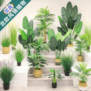 Simulation Tree Green Plant Plant Plant Paradise Bird Simulation Plants indoor bonsai Falunage Trees Simulation Similar Travel Bashes