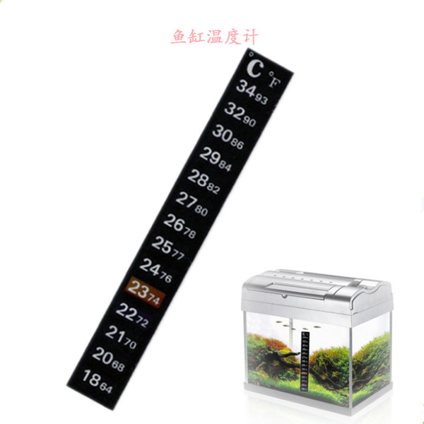 Aquarium
