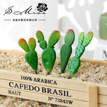 ����ֲ��������ֲ�DIY�OӋ��Ʒ������컨�S��ֱ��һ�����l�G