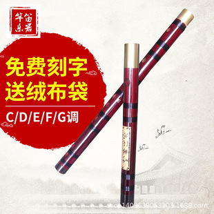 �p���S�~������ţ�ǵ��� �t����W��� ���l����M�ј���