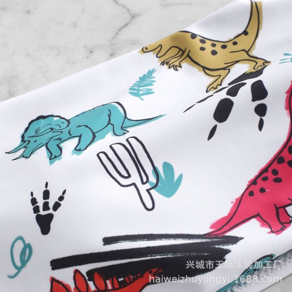 Swimsuit Women's European and American New Sexy Split Bikini Foreign Trade Small Fresh Amazon AliExpress Swimsuit