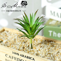 仿真多肉花頭植絨迷你領教草假花植物牆用品DIY設計人造綠植尚淼