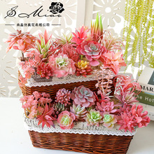 006ֲ�q�tɫϵ�ж���ֲ���DIY��Ʒ����S��ֱ�����l����G