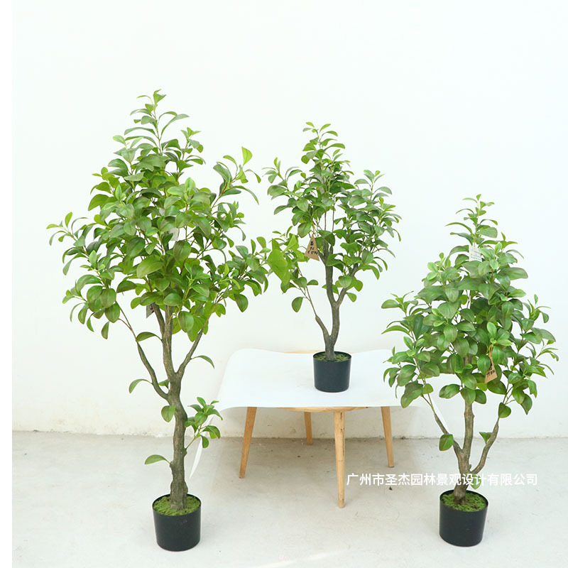 Simulation Apple Tree Potted Creative Indoor Home Feel Money Leaf Tree Ornaments Bonsai Simulation Four Seasons Green Fake Tree Simulation Apple Tree Potted Creative Indoor Home Feel Money Leaf Tree Ornaments Bonsai Simulation Four Seasons Green Fake Tree