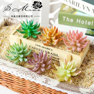 ����ֲ�����ɏ����DIY��Ʒ����ֲ����A�S��ֱ�N�羳�ٻ�