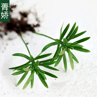 Jingjiao Мини зеленый посадка Карманный кокосовый Luohan сосна Настольный горшок микро пейзаж DIY фоновое растение