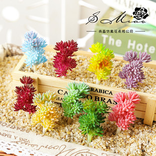 Succulent plant flower head implanted velvet thin cedar, flower manufacturer's creative DIY supplies plant wall accessories green plants Shangmiao
