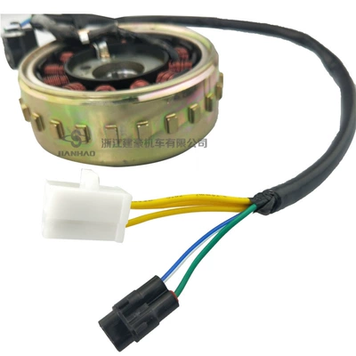 Electronic Fuel Injection Magneto – Motorcycle engine and accessories