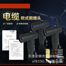 10KV�Wʽǰ�Ӳ���^ �߉���|���� ��s��|���� ��֧�����