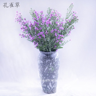 Peacock Grass Rudan Bird: Wholesale Fresh Flowers from Kunming for Home Decoration, Fresh Cut Flowers from Yunnan