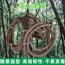 ���ٗl��ɽ���b����滨�ٻ����ڵ�����������٘�֦�ݘ���