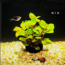 �G��������~��ˮ�����쾰ˮ��������o�ֲ���о������l���ˮ��