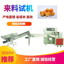 四川脐橙包装机厂家全自动水果包装机促销香橙套袋机袋子包装高效