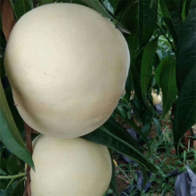 ���س���2��޽��Ҙ� �ڸд����x�˰������ϵ�l�_��ɫ�Ҙ���