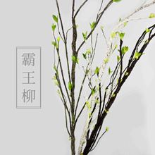 G~Slѿl֦滨Ҿbl֦ٻ