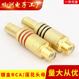 AV���^ ɏ��RCAĸ�^ ����ɏ��ĸ�^�Ӿ� �ҕĸ�� ��ҕ�l���L����