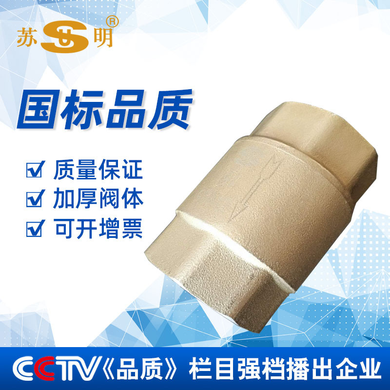 苏明 内螺纹加厚单向阀 弹簧逆止阀DN20 1寸  黄铜立式止回阀