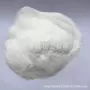 微生物饲料肠球菌