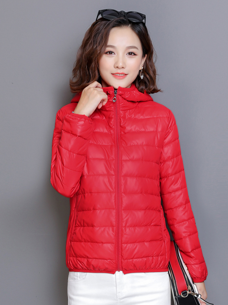 레드